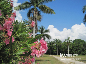 Corozal Bay Corozal District Belize