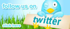 Join The International Realty, Inc. on Twitter