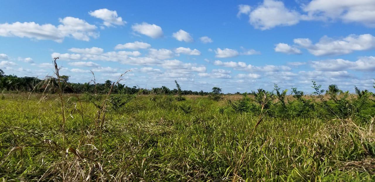 Cayo District Cayo District Unnamed Road 