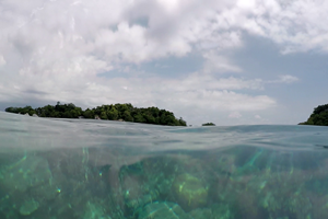 Kepulauan Anambas Regency Kepulauan Anambas Regency Riau Islands