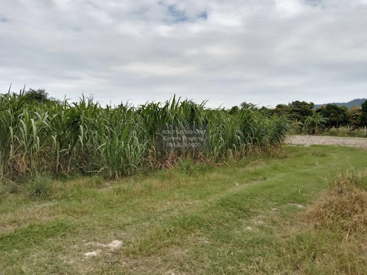 Mueang Muang Chon Buri