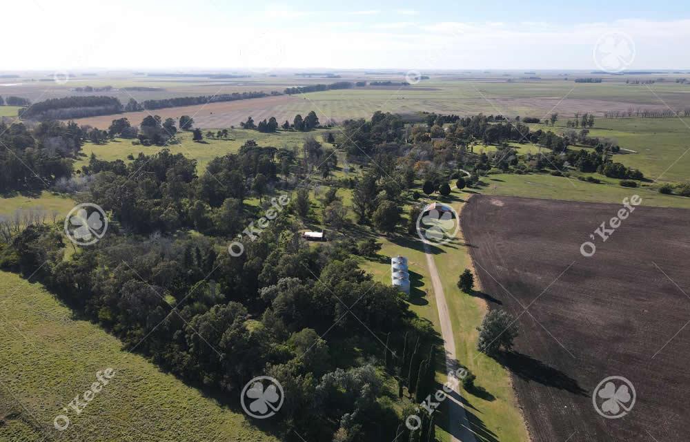 LoberÃ­a LoberÃ­a Buenos Aires Province