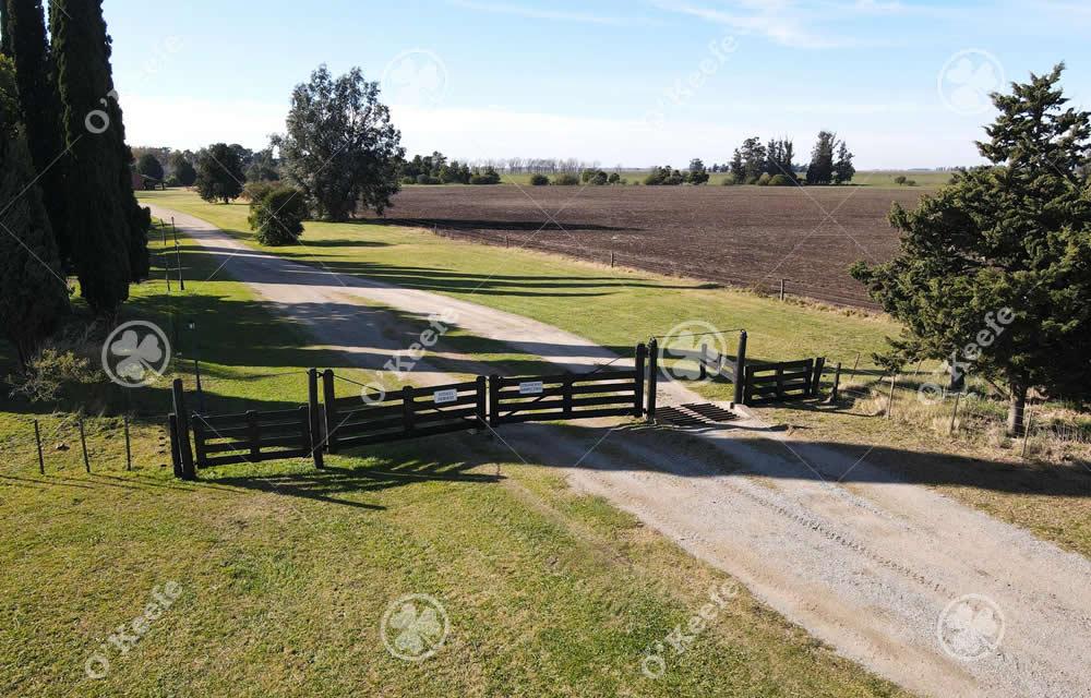 LoberÃ­a LoberÃ­a Buenos Aires Province