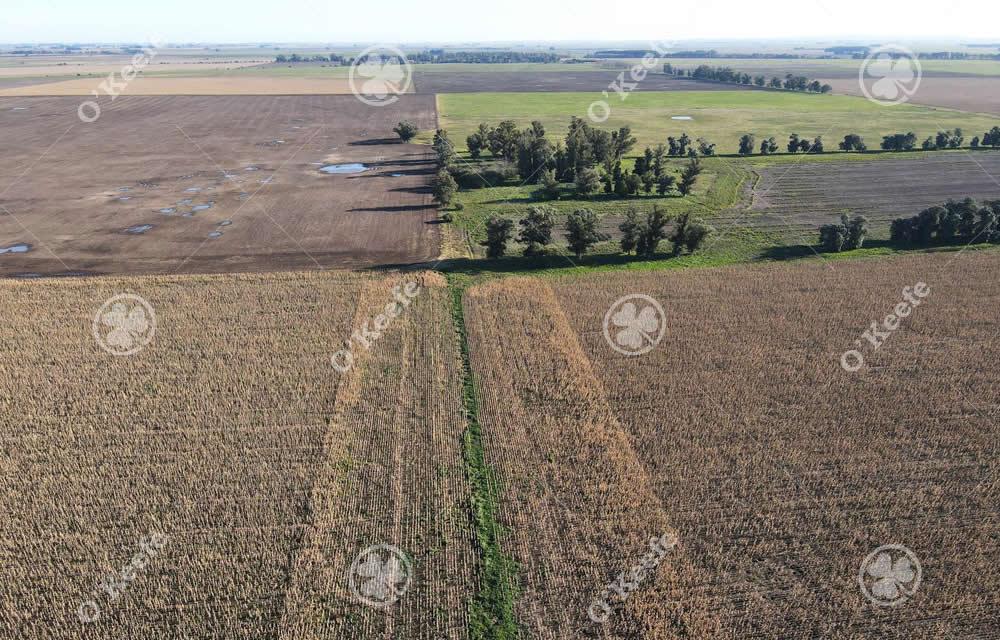 LoberÃ­a LoberÃ­a Buenos Aires Province