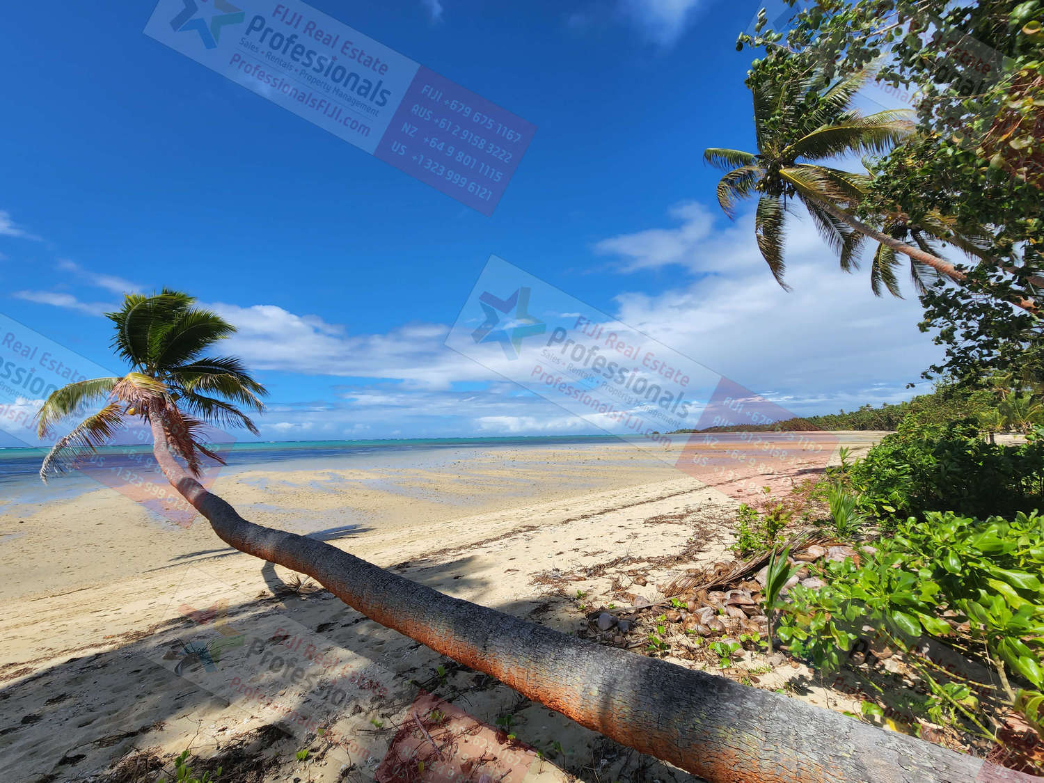 Levukalailai Savusavu Northern Division