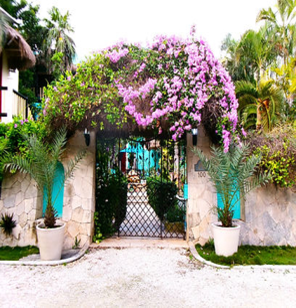 Caleta Yalku Akumal Quintana Roo