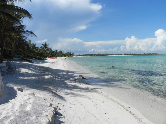 Caleta Yalku Akumal Quintana Roo
