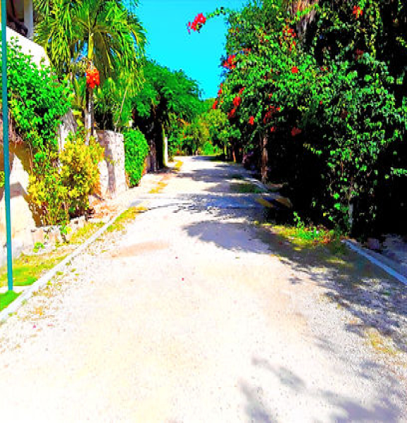 Caleta Yalku Akumal Quintana Roo