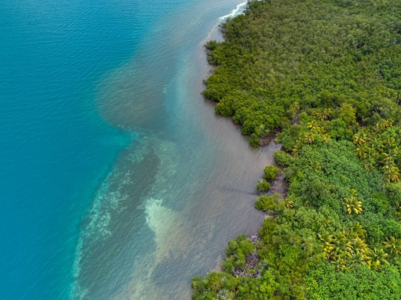 Island Frenchman's Caye Punta Gorda Toledo District