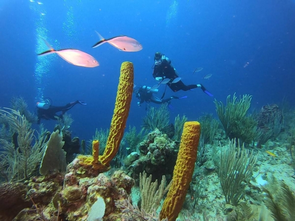 Long Caye Belize District Belize