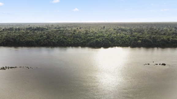 Suriname Suriname Commewijne District