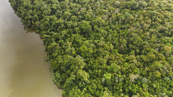Suriname Suriname Commewijne District