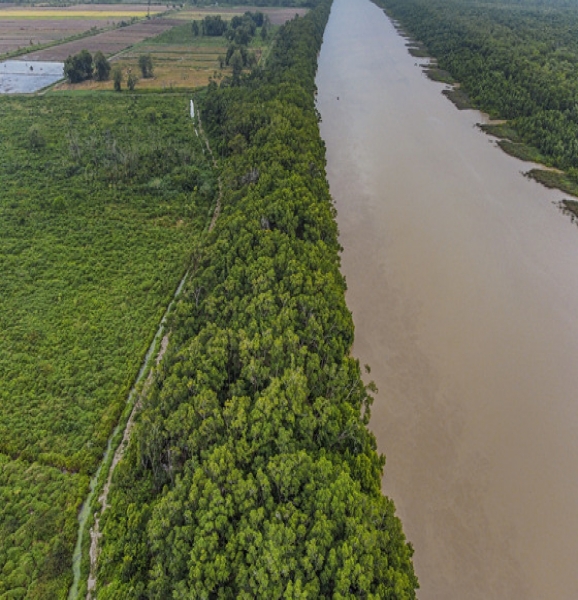 Suriname Suriname Para District