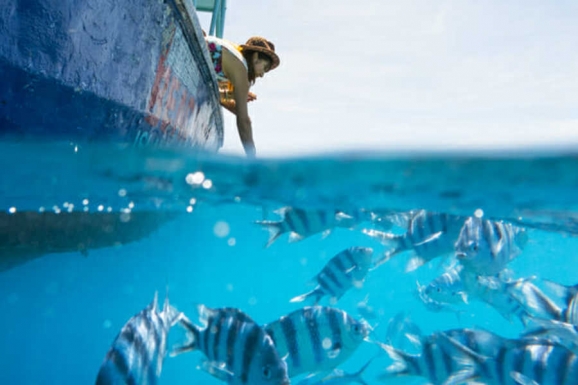 Beachcomber Island Beachcomber Western Division